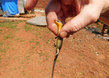 Африканские приключения – фотографии Танзании