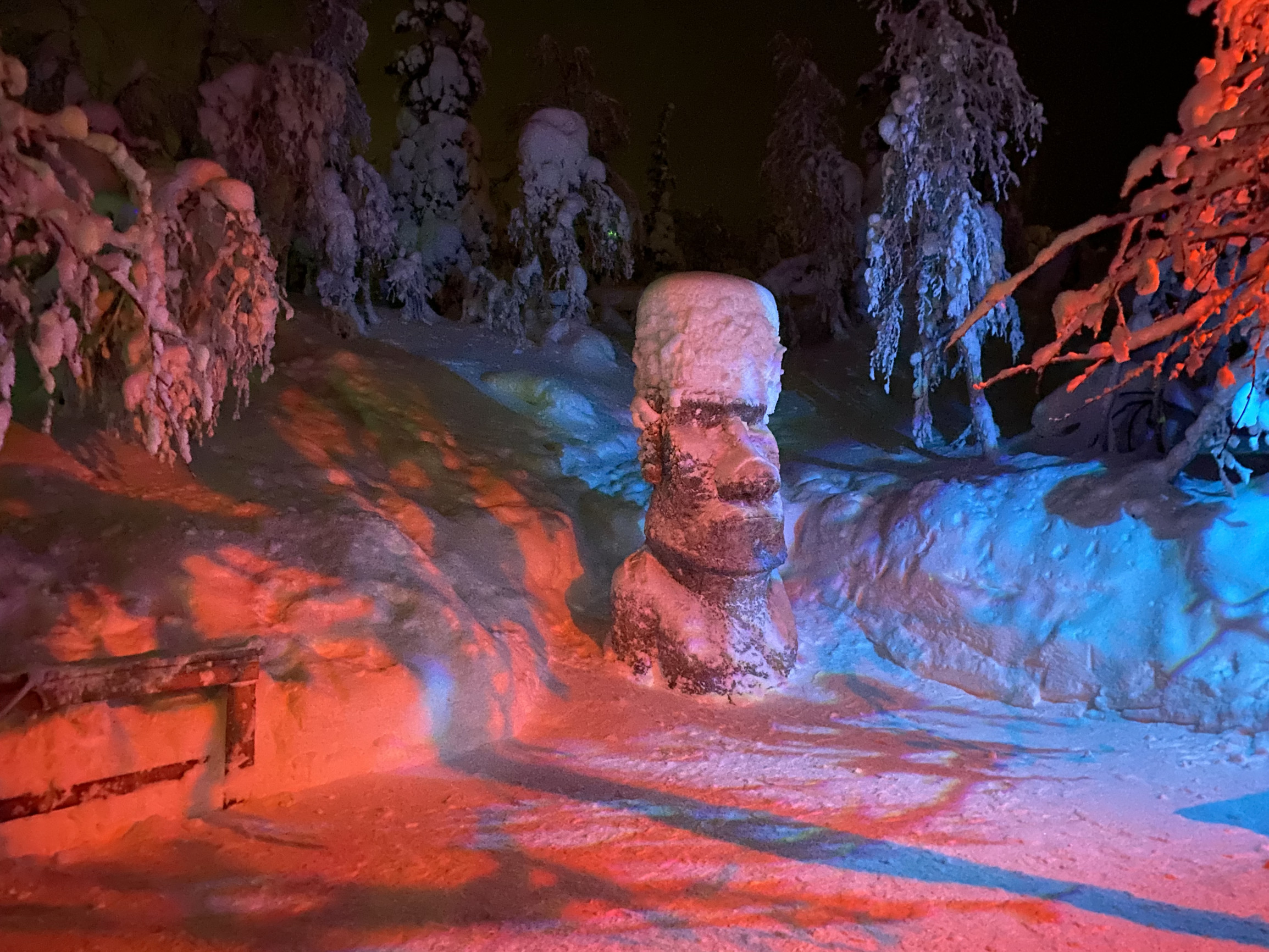 Объекты в арт-парке «Таинственный лес» – фотографии России