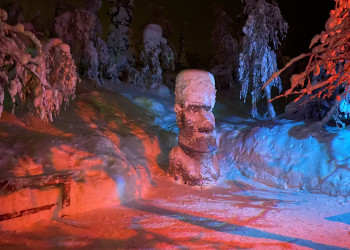 Объекты в арт-парке «Таинственный лес» – фотографии России