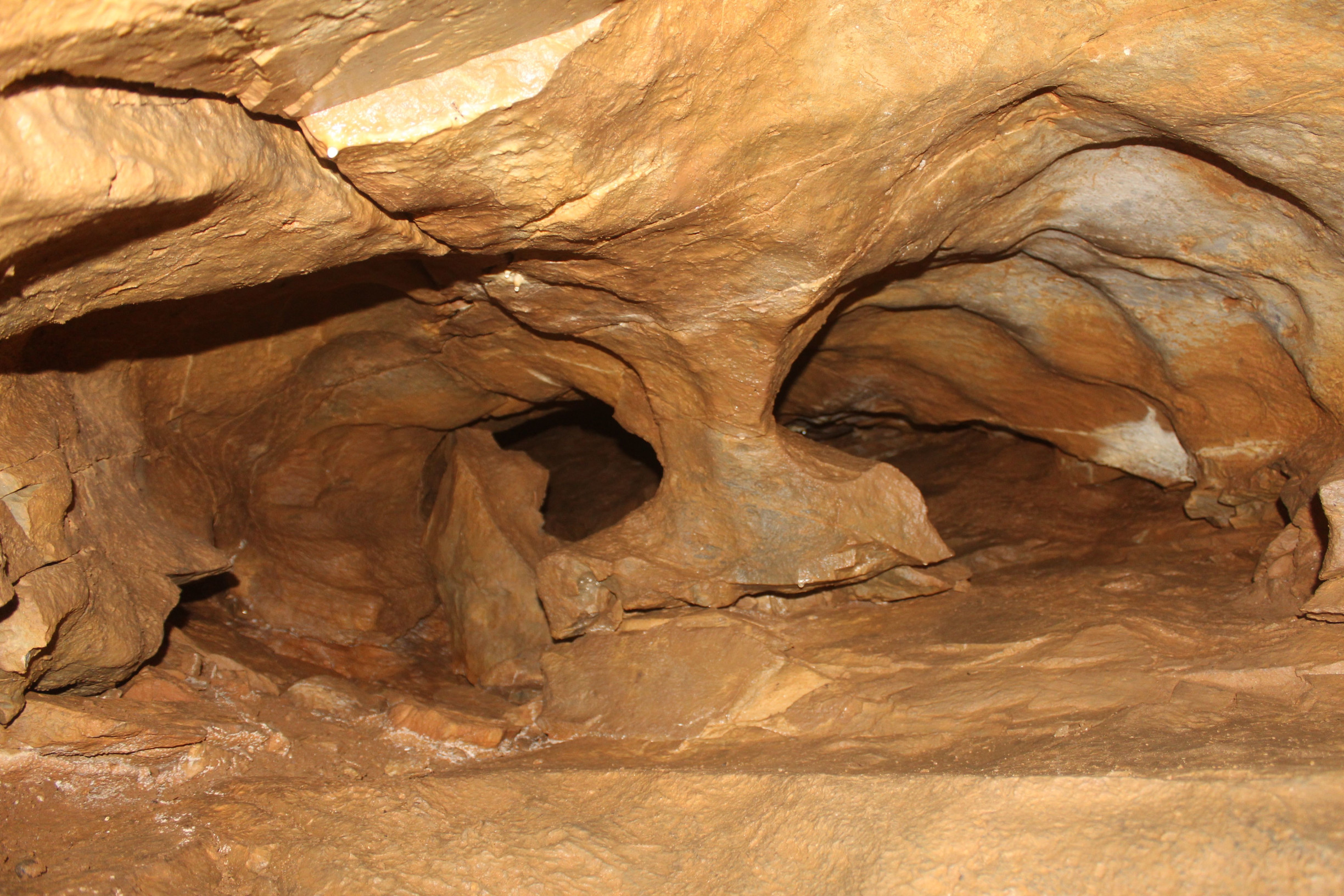 р.Белая – фотографии