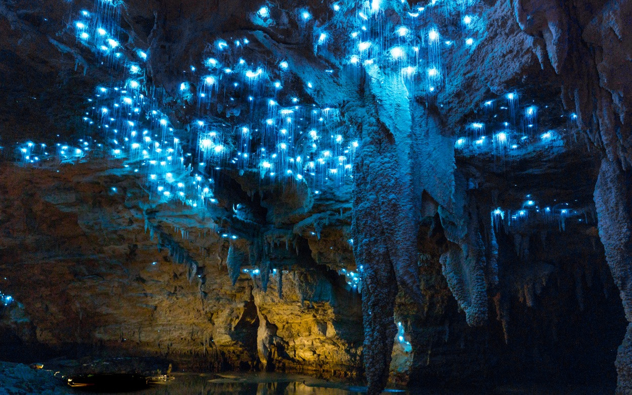 Пещеры Вайтомо (Waitomo Glowworm Caves) – фотографии Новой Зеландии