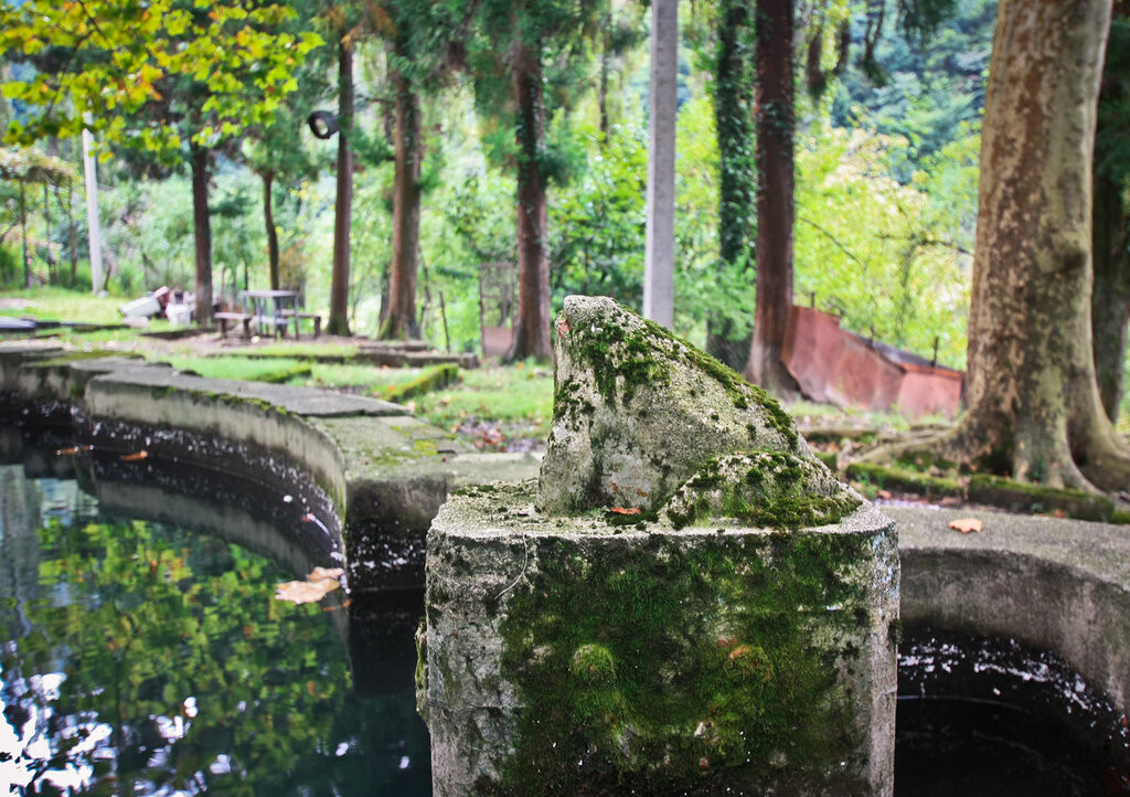 Фонтанная лягушка. Ткуарчал. Абхазия – фотографии Абхазии