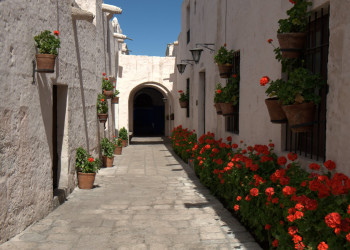 Монастырь Санта-Каталина (Monasterio de Santa Catalina de Siena) – фотографии Перу