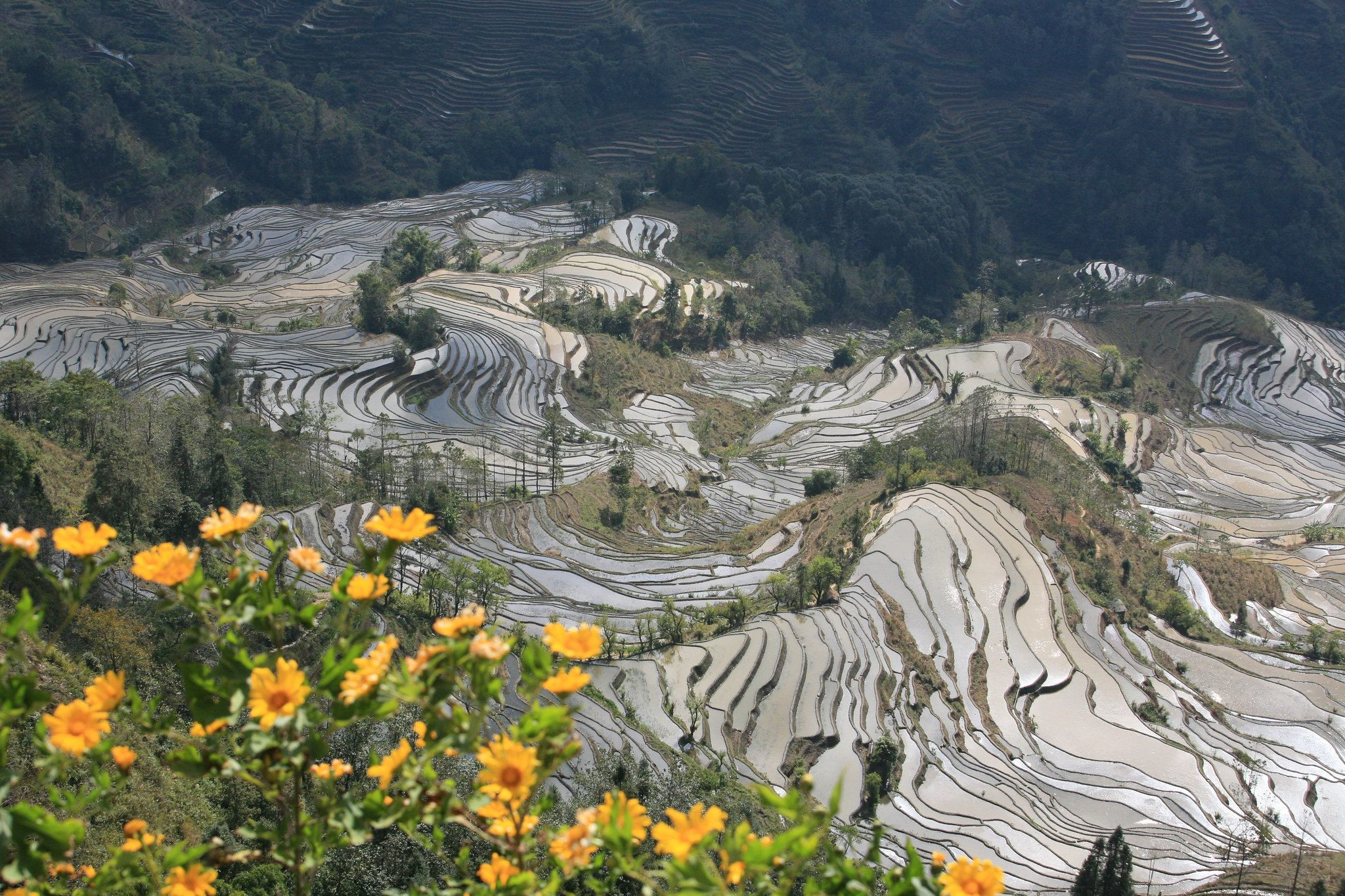 Рисовые террасы Хунхэ-Хани 8 – фотографии Китая
