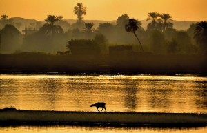 Храм в Ком-Омбо 7 – фотографии Египта