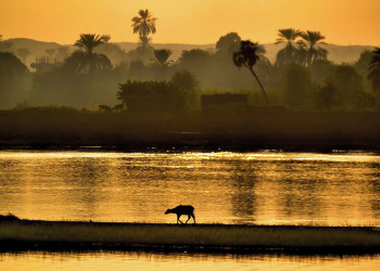 Храм в Ком-Омбо 7 – фотографии Египта