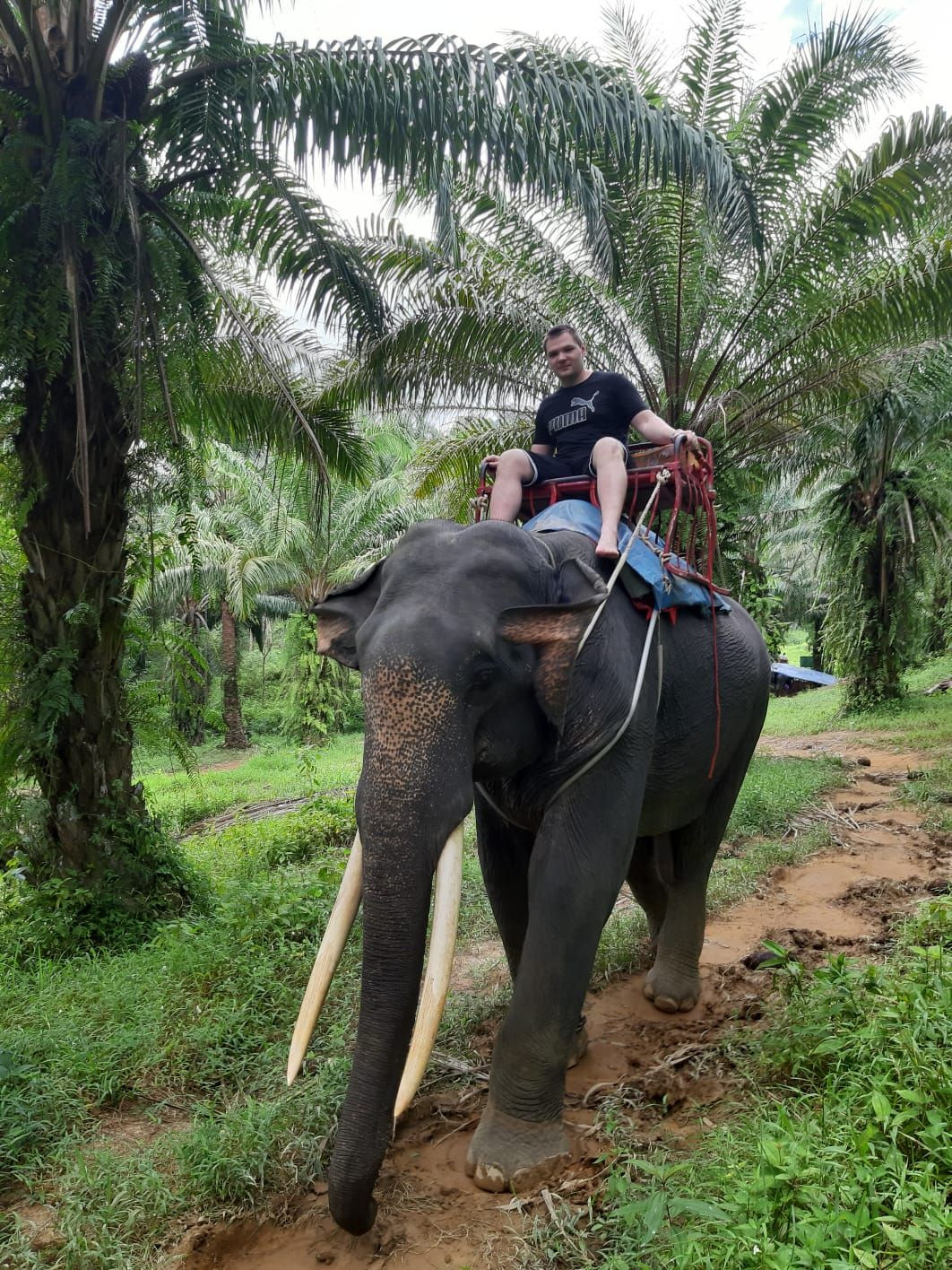 Я и маленький Слон) – фотографии