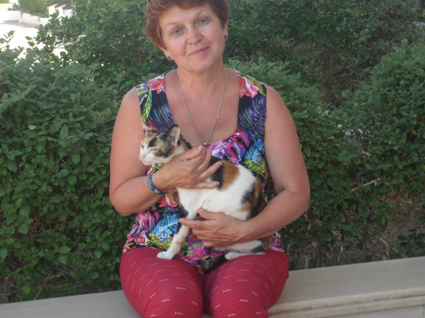 Поймала трехцветную кошку и загадываю желание! – фотографии Египта