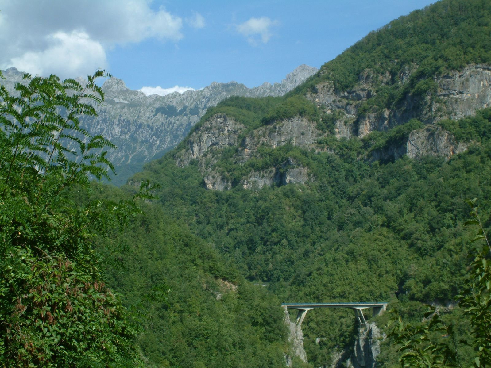 Морача река – фотографии Черногории