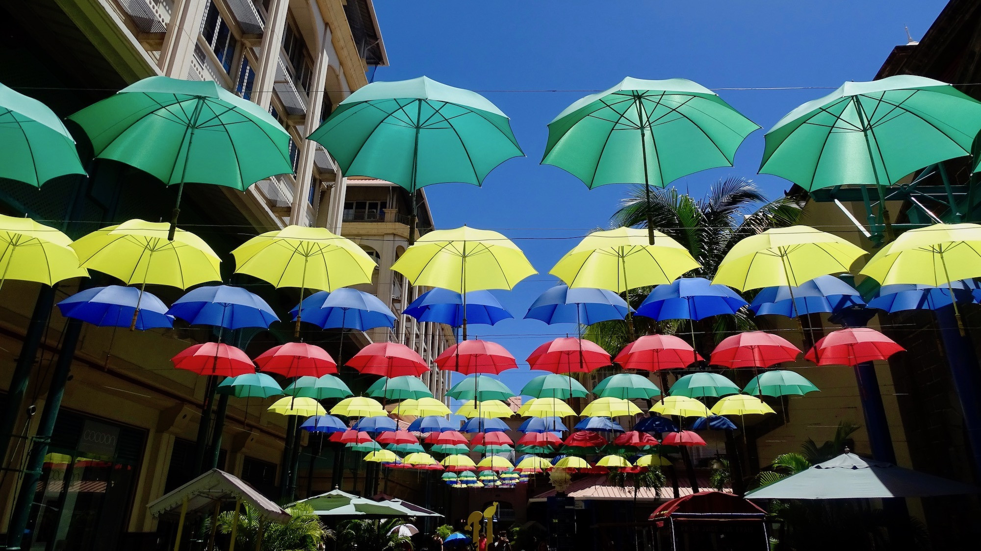 Украшение города. Маврикий – фотографии Маврикия