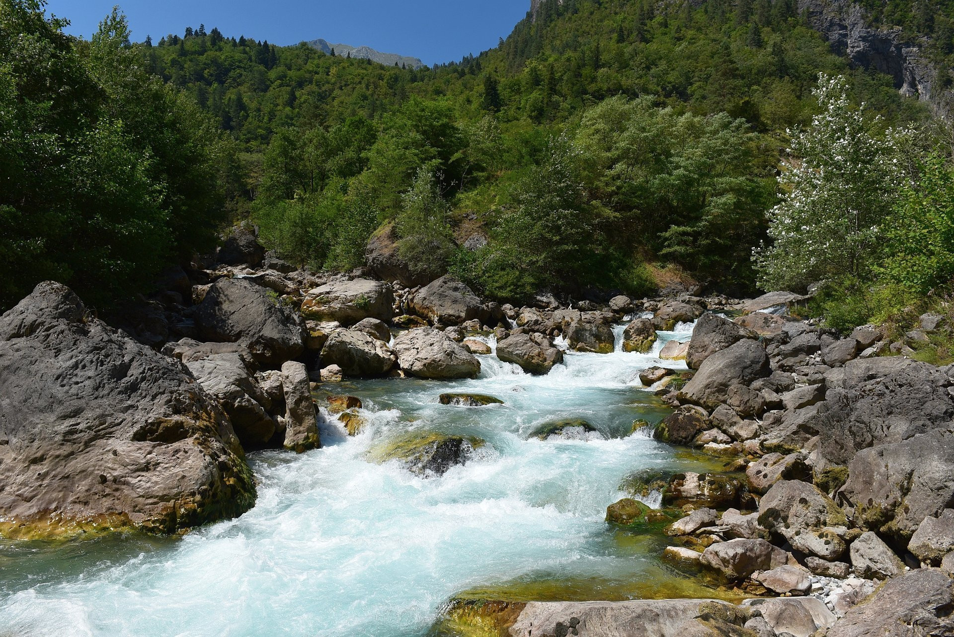 Река Юпшара. Озеро Рица – фотографии Абхазии