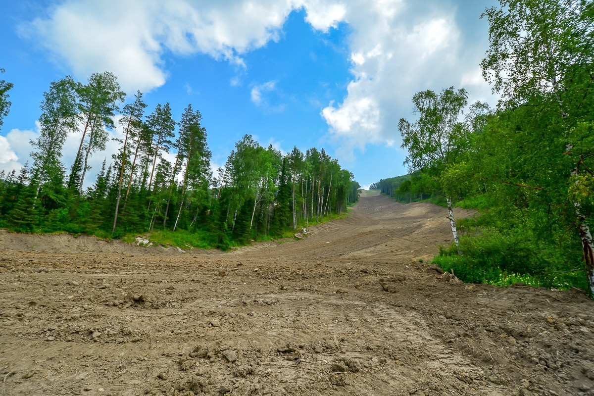 Горнолыжный комплекс «Гора Мишина» в Белокурихе. Фото 2 – фотографии России