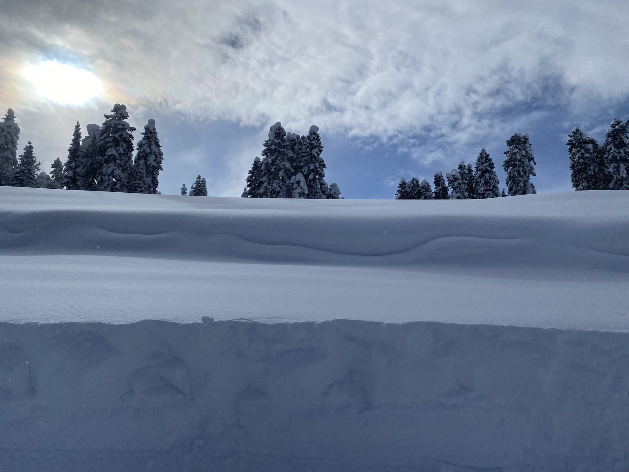 Роза Хутор Южный склон, трасса Календула, огромные сугробы – фотографии России