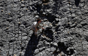 Следы динозавров Cal Orcko на окраине Сукре в Боливии – фотографии Боливии