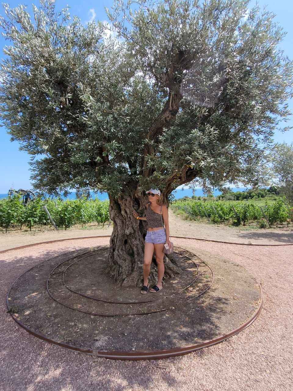 Я – фотографии