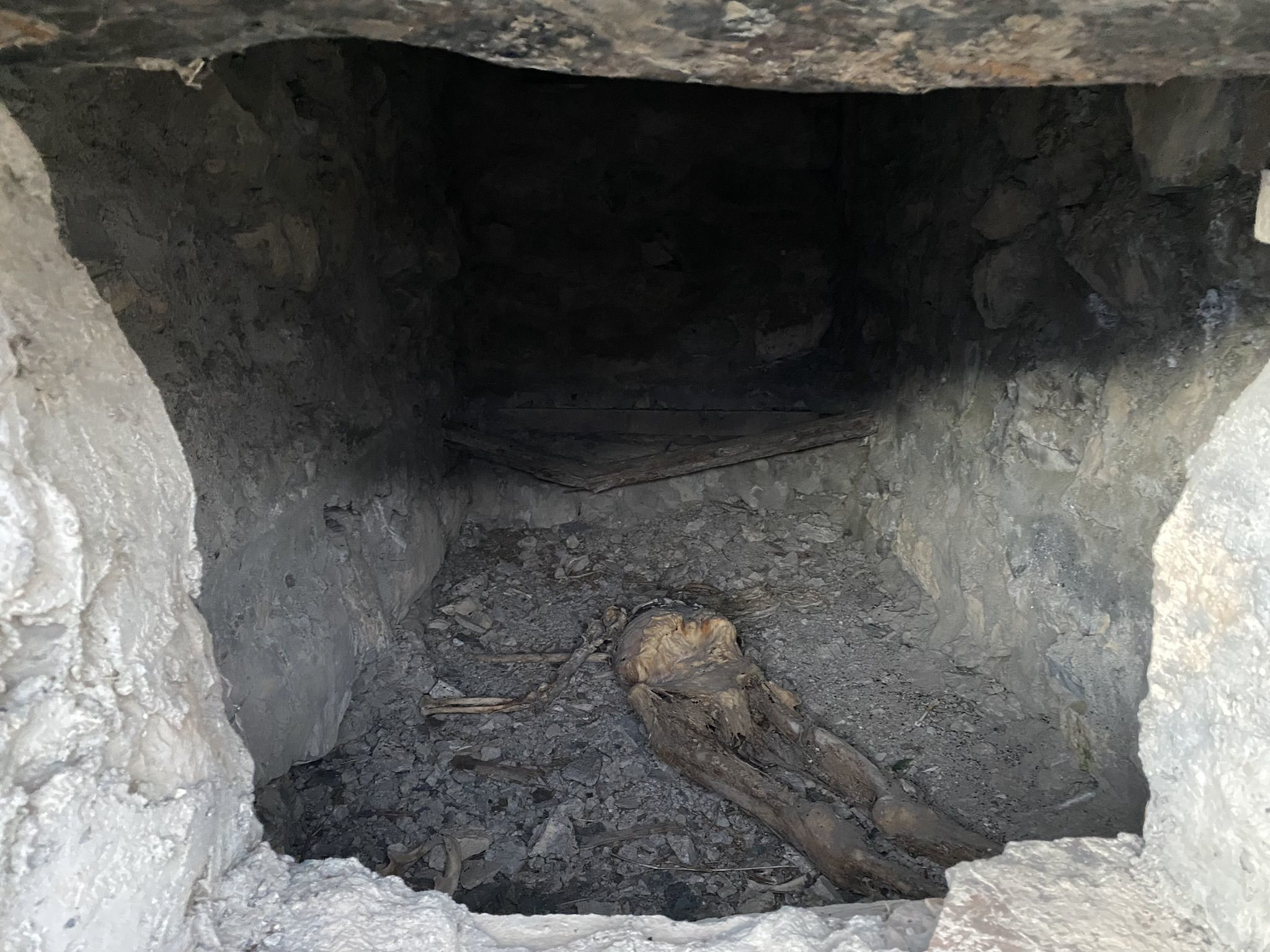 Мумифицированный человек в склепе города мёртвых Даргавс, Осетия – фотографии России