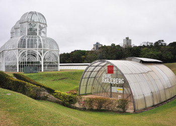 Ботанический сад Куритибы – фотографии Бразилии