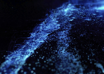 Светящийся пляж на острове Ваадху (Vaadhoo) на Мальдивах – фотографии Мальдивских островов