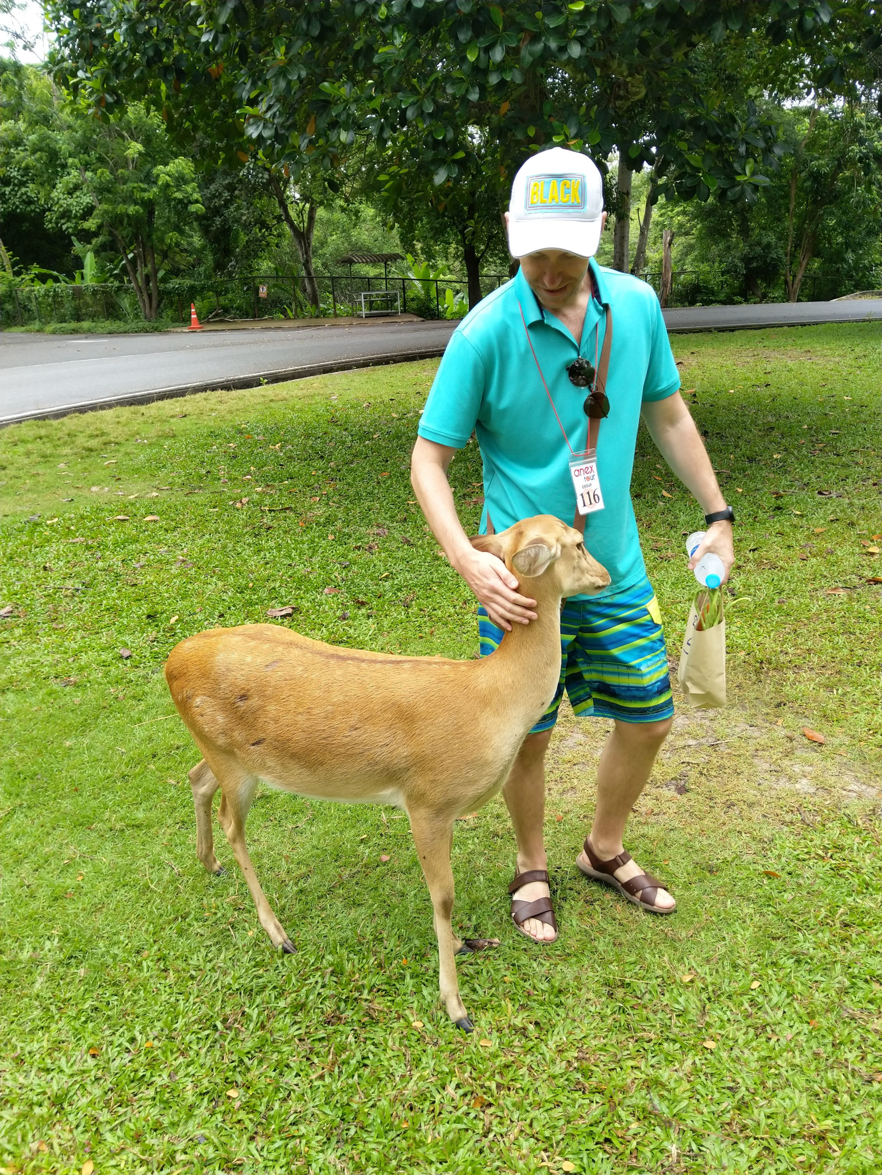 Я – фотографии