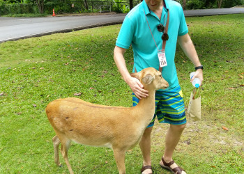 Я – фотографии