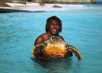 Нас ждут черепахи и креолы – фотографии Сейшельских островов