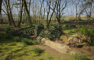 После Второй мировой сад "Затерянные сады Хелигана" пришёл в запустение на долгие пятьдесят лет – фотографии Великобритании