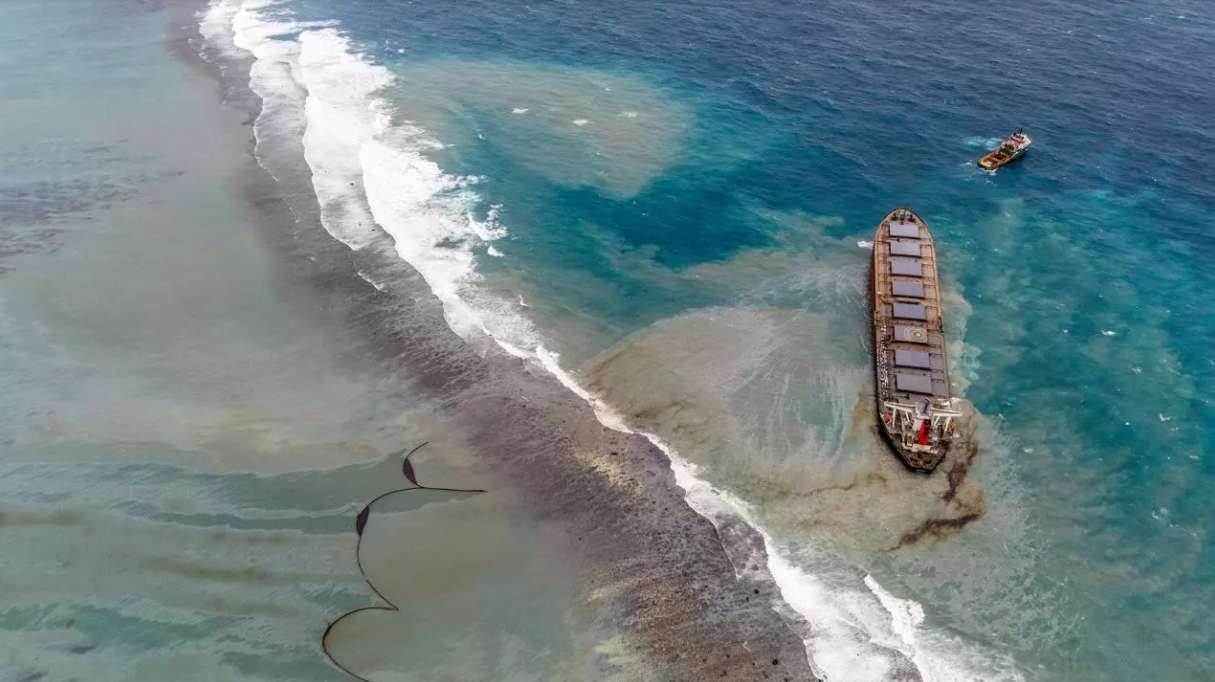 Маврикий в августе 2020 после крушения нефтяного танкера – фотографии Маврикия