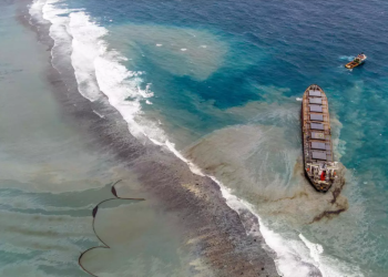 Маврикий в августе 2020 после крушения нефтяного танкера – фотографии Маврикия