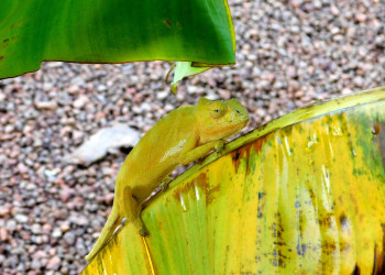 Африканские приключения – фотографии Танзании