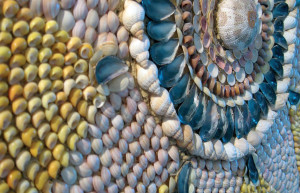 Загадочный ракушечный грот (Shell Grotto), Маргейт, Великобритания – фотографии Великобритании