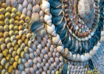 Загадочный ракушечный грот (Shell Grotto), Маргейт, Великобритания – фотографии Великобритании