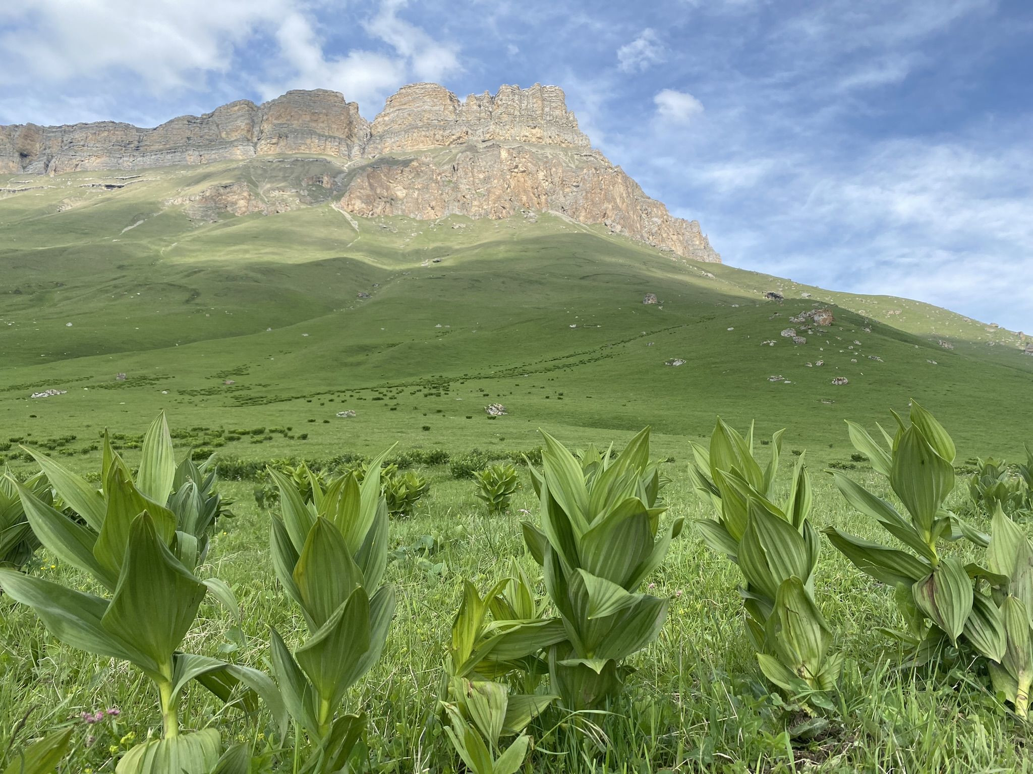 Поездка на перевал Актопрак, июнь 2022 – фотографии России