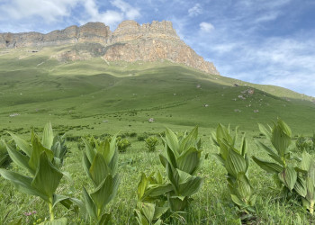 Поездка на перевал Актопрак, июнь 2022 – фотографии России
