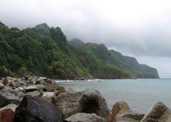 Побережье Гран'Ривьер (Grand'Riviere) на Мартинике – фотографии Мартиники
