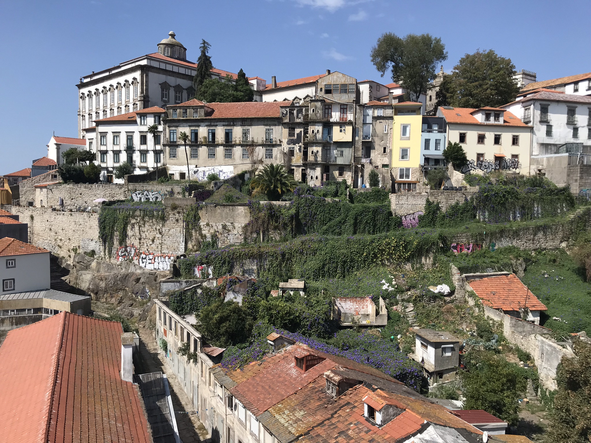 Вид на Кафедральный собор Порту и дома – фотографии Португалии