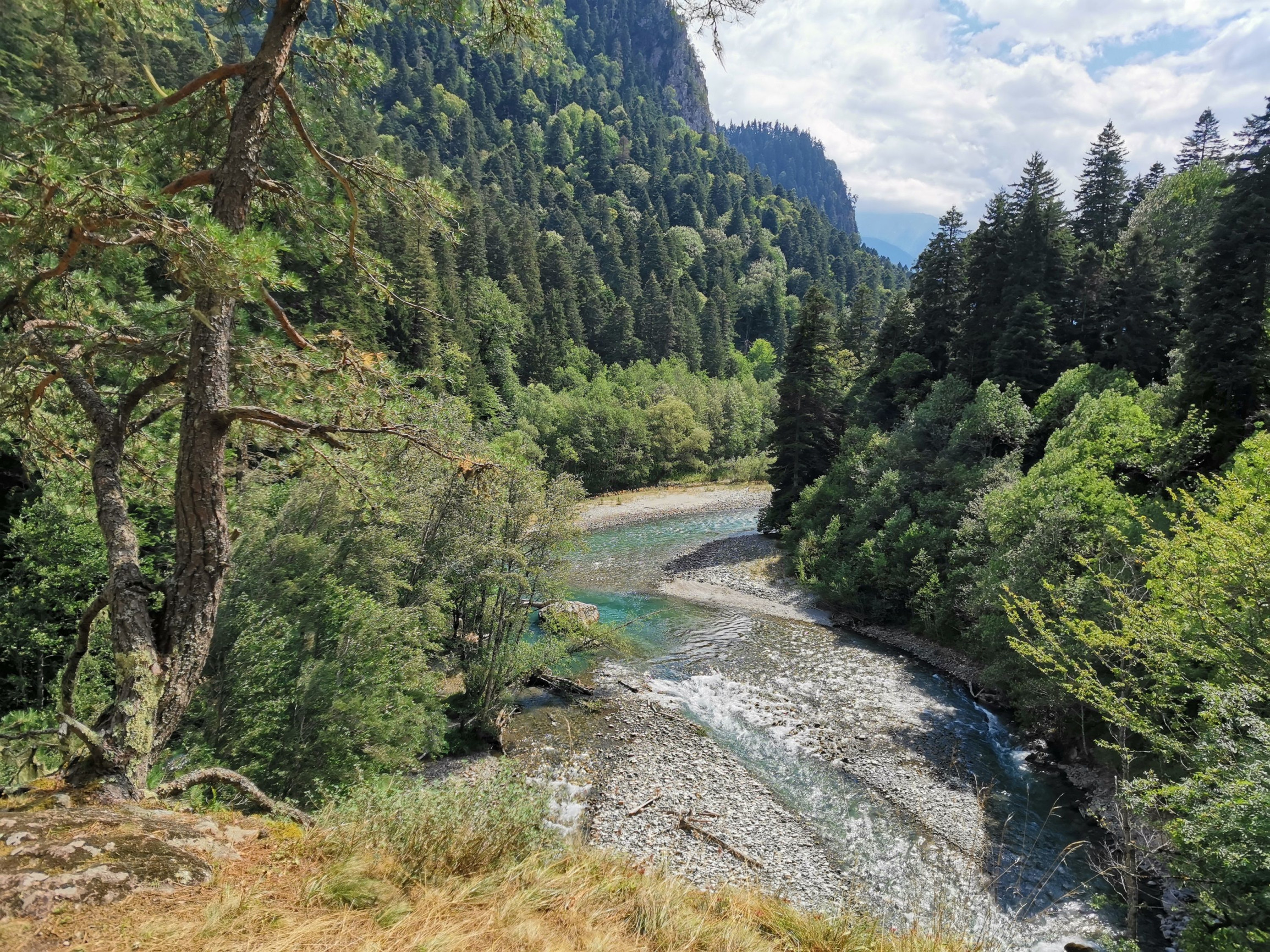 Река Лаба – фотографии России