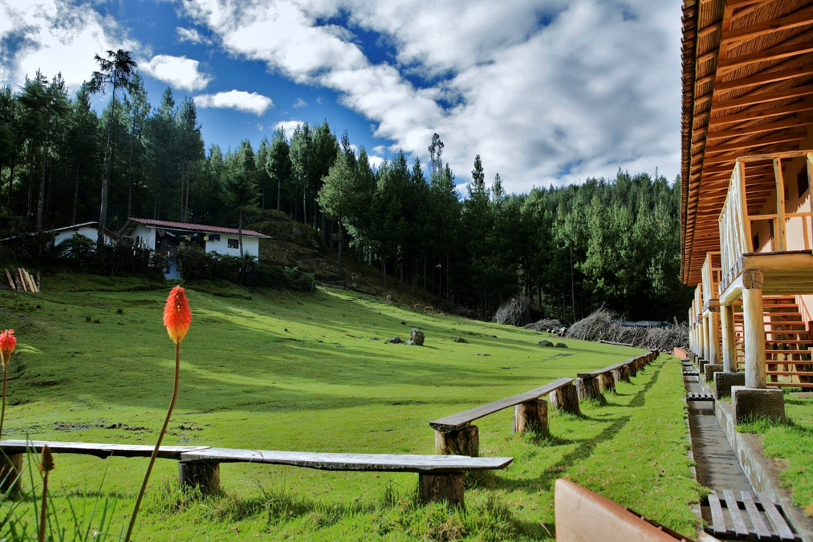 Ферма Поркон (Granja Porcon) в окрестностях Кахамарки – фотографии Перу