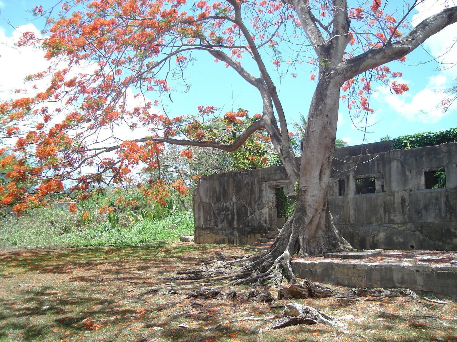 Сайпан остров, Северные Марианские острова, фото № 73147 – фотографии Северных Марианских островов