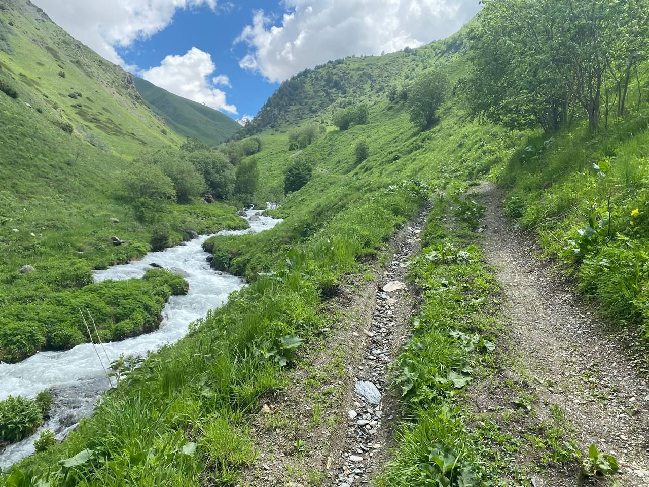 Речка и дорога в ущелье Цмиаком, Северная Осетия, июнь 2022 – фотографии России