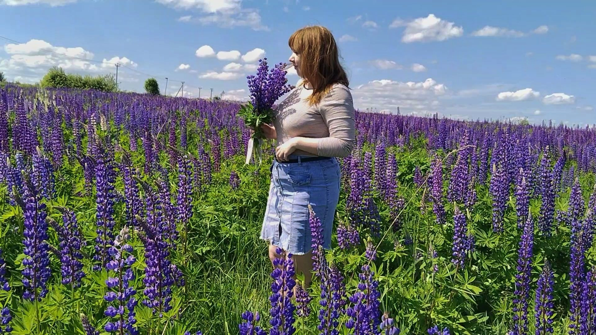 2 – фотографии