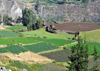 Каньона Колка на юге Перу – фотографии Перу