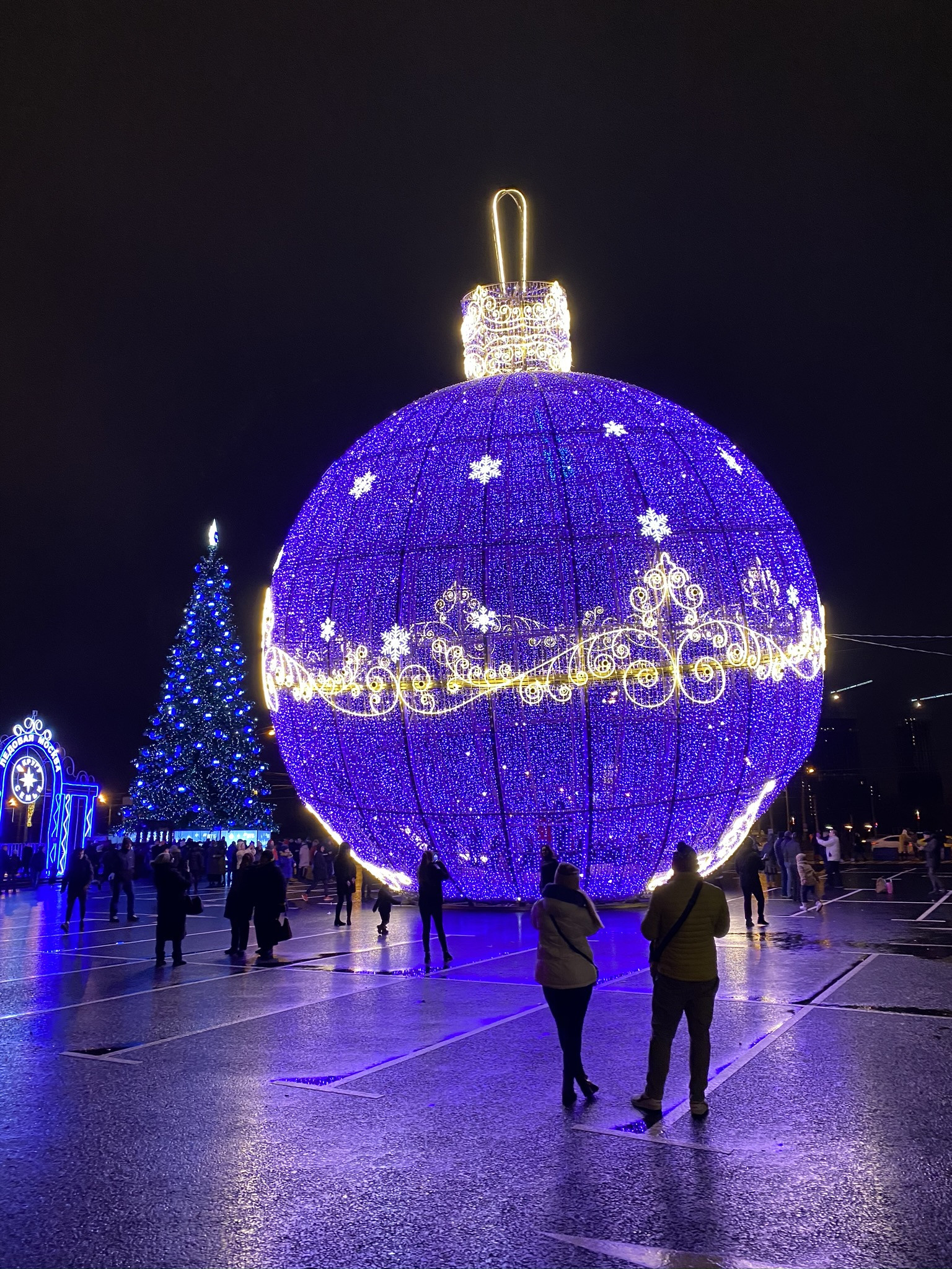 Огромная ёлочная игрушка в Парке Победы в Москве – фотографии России