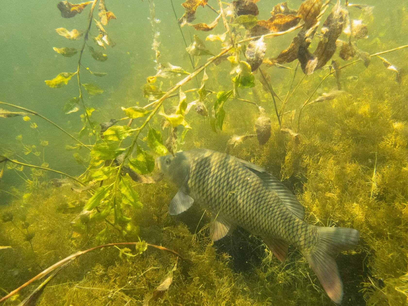 разное – фотографии России