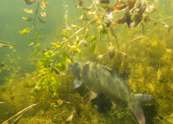 разное – фотографии России