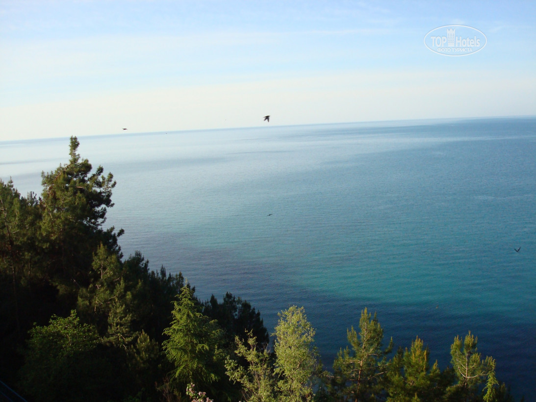 Море с высоты птичьего полета. Мюссера – фотографии Абхазии