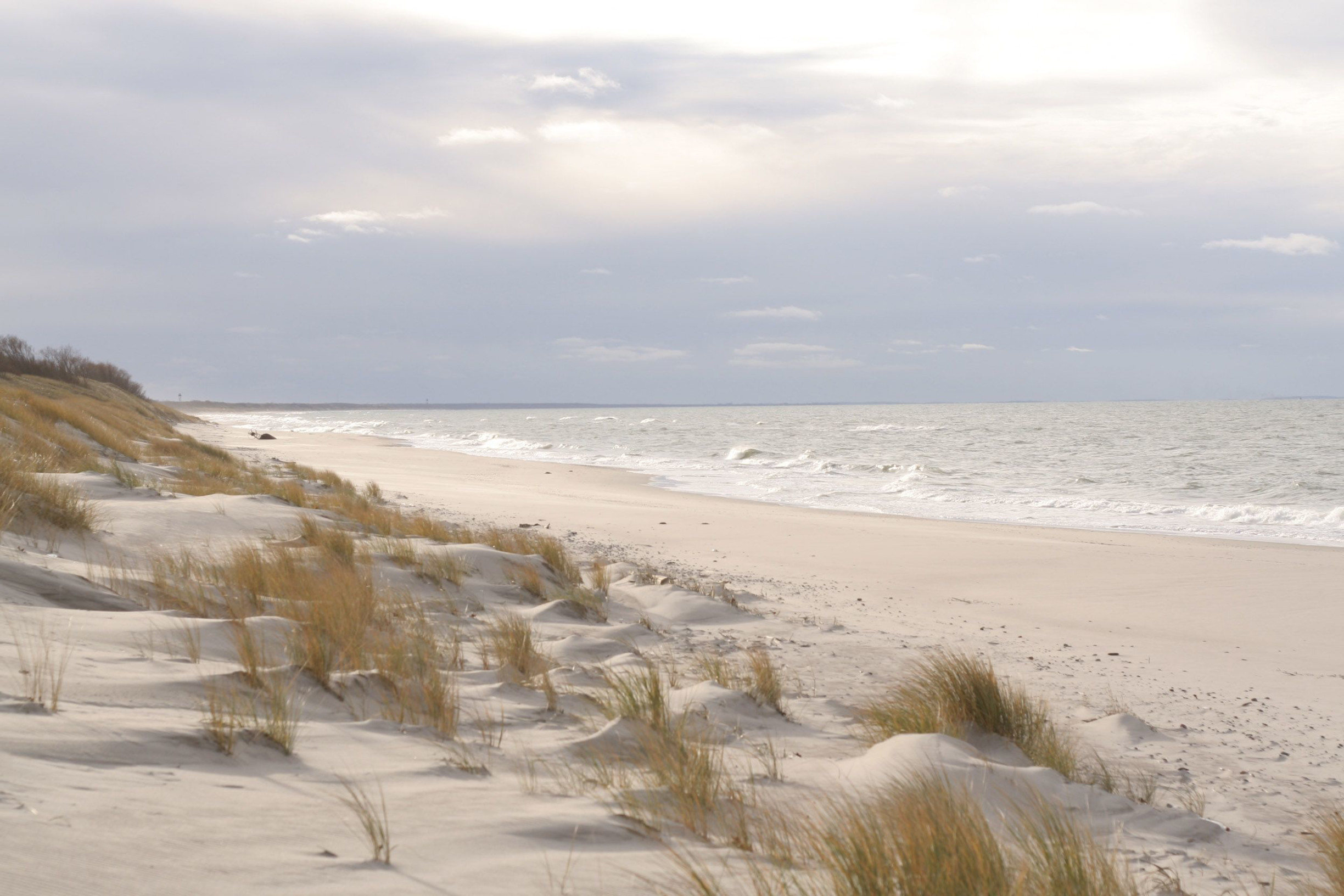 Куршская коса 11 – фотографии России