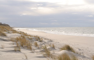 Куршская коса 11 – фотографии России