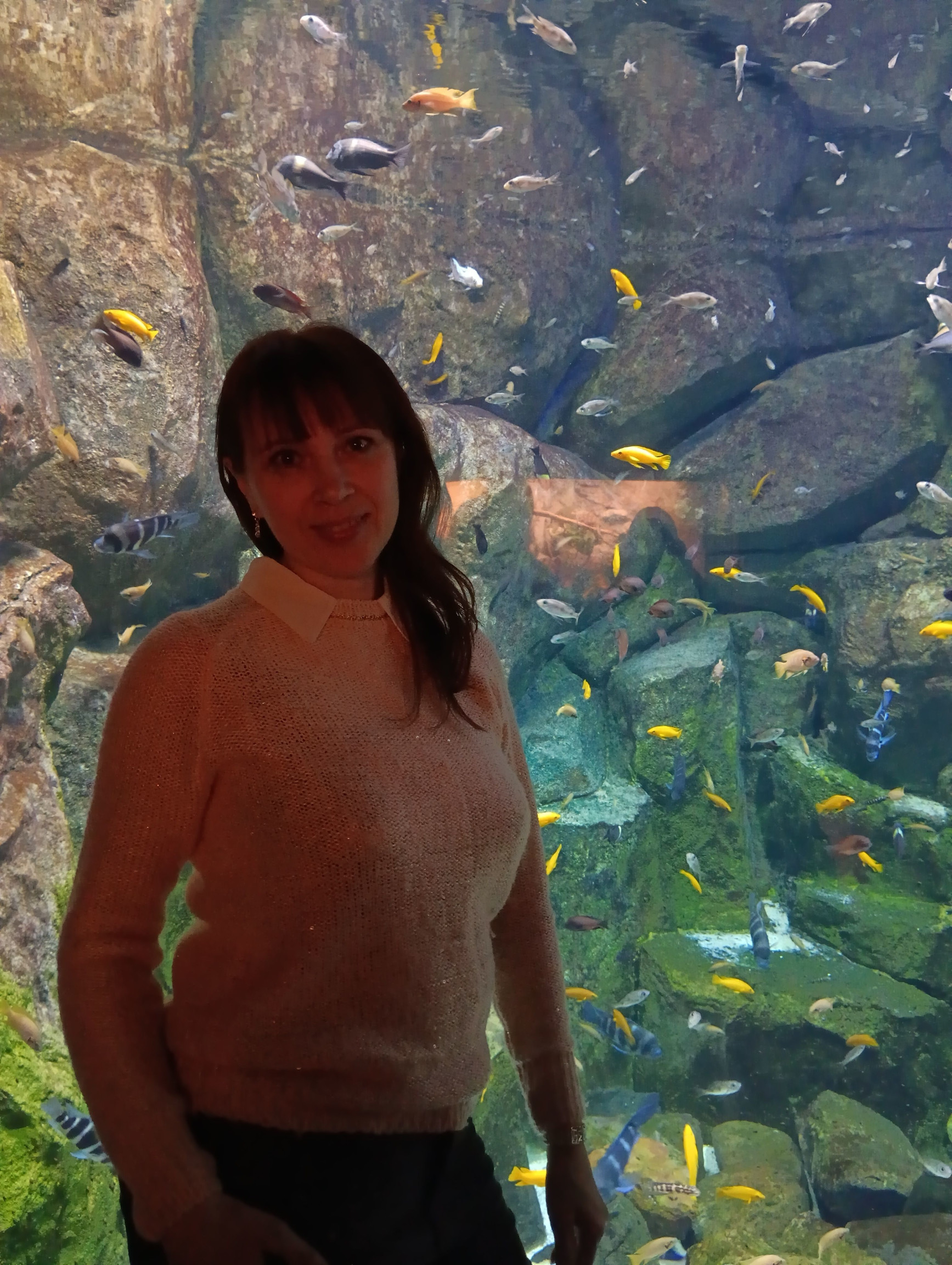 Аквариум – фотографии России