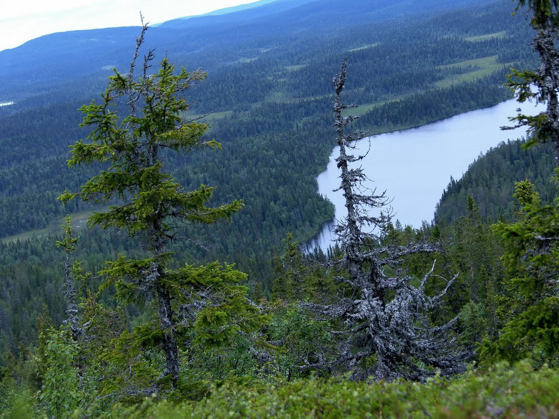 Национальный парк, Россия. Фото 3 – фотографии России