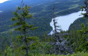 Национальный парк, Россия. Фото 3 – фотографии России